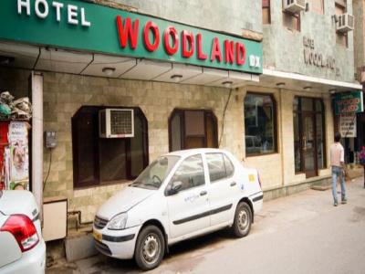 Woodland Dx - 14