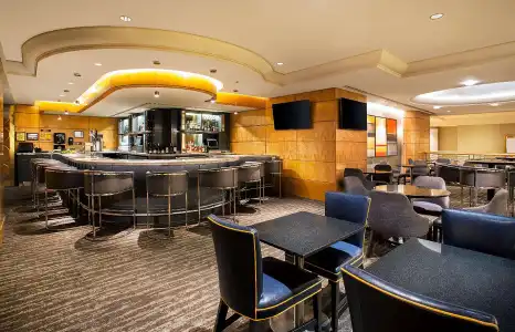 The Hilton Club - New York - 26