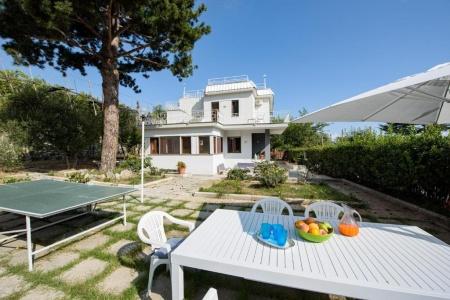 Villa Louise - 33