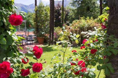 Apartal Lago - 13