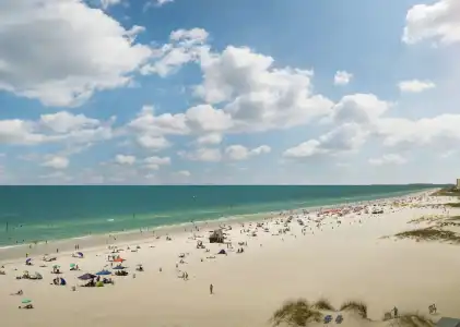 Hilton Clearwater Beach Resort & Spa - 59