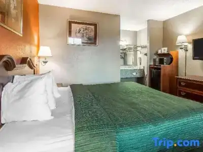 Quality Inn & Suites Macon North - 25
