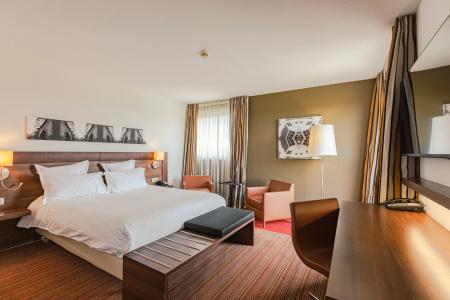 Holiday Inn Mulhouse by IHG - 38