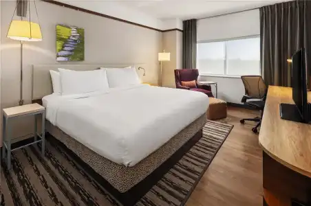 Hilton Garden Inn Minneapolis Airport Mall of America - 67