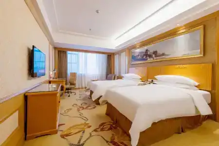 Vienna International Shenzhen North Station Branch - 10