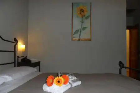 Lama di Valle Rosa - 58