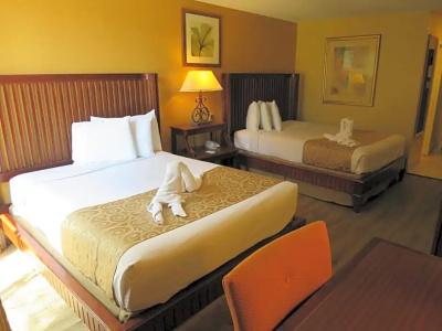 B&B Orlando International Drive Near Universal - Newly Renovated! - 125
