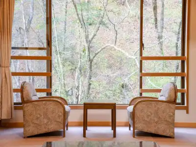 Shirahone Onsen Tsuruya Ryokan - 60
