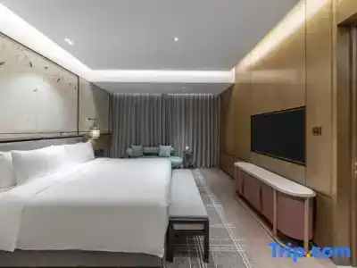 HUALUXE Xi an Chanba by IHG - 144