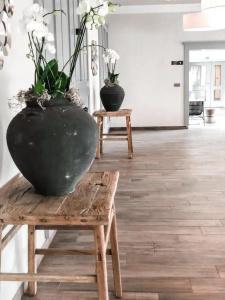 Wellness Volarik - 17