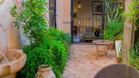 Karawan Riad - 65