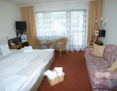 FerienSchwarzwälder Hof - 4