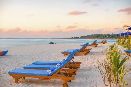 The Maverick Surf and Dive Boutique - 32