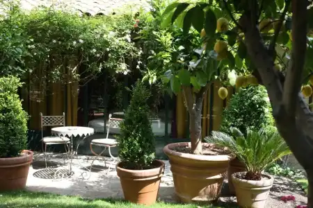 Hôtel Jardins Secrets - 27
