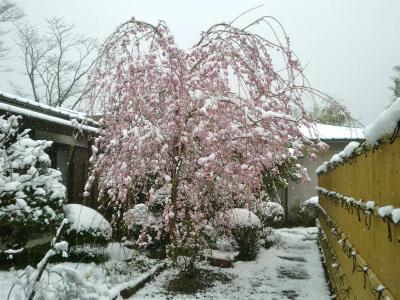 Fuji-Hakone Guest House - 13