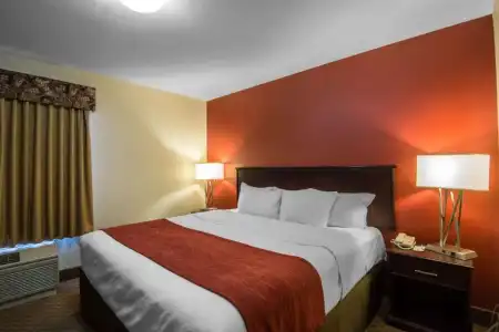 Comfort Inn & Suites Airport South - 40