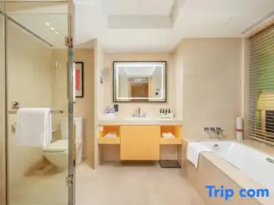 Marco Polo Wuhan - 100