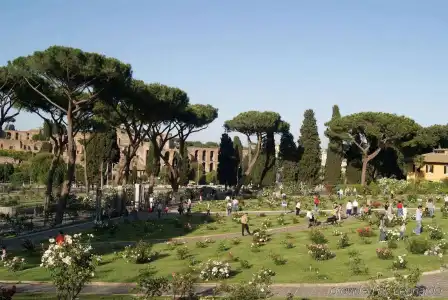 Delle Muse - 9