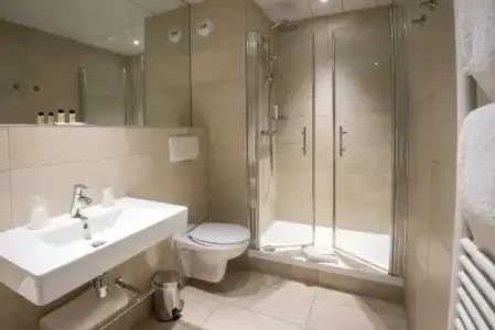 Hôtel Vacances Bleues Royal Westminster - 85