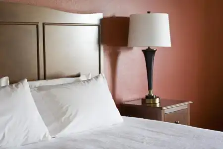Hampton Inn Abilene - 34