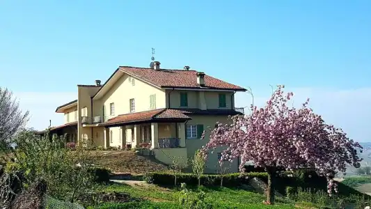Villa Bellavista Alba - 34