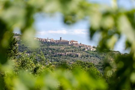 Il Falconiere Relais & Spa - 20