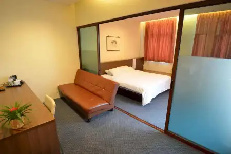 VIP (SG Clean Certified) - 24