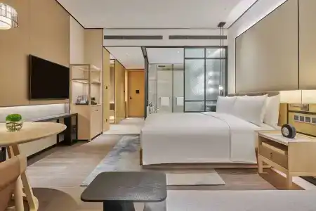Doubletree By Hilton Shenzhen Airport Residences - 3