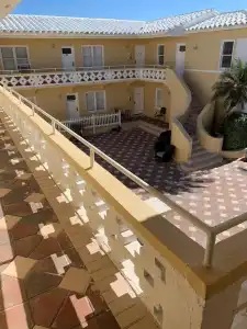 The Palms - 0