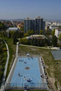 University - 12