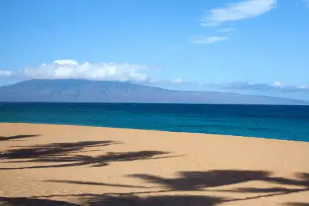The Westin Maui Resort & Spa, Ka'anapali - 45