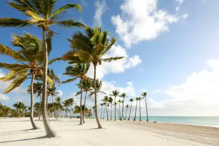 TRS Cap Cana Waterfront & Marina - Adults Only - All Inclusive - 43