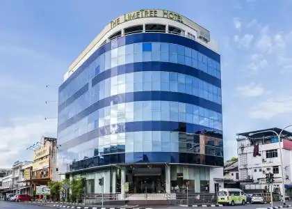 The LimeTree - 25