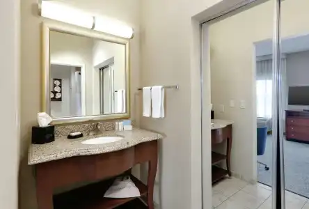 Hampton Inn & Suites Abilene I-20 - 74