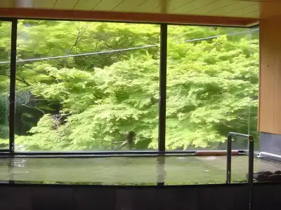 Yugawara Onsen Kamata - 9