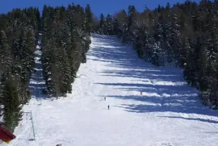 Kamyanka - 8