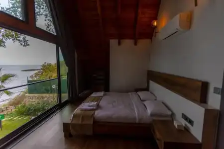 Santana - 243