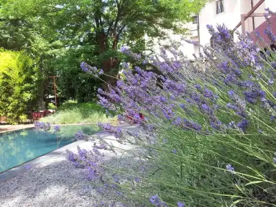 Clocchiatti - 19