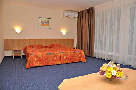 BSA Gradina All Inclusive - 4
