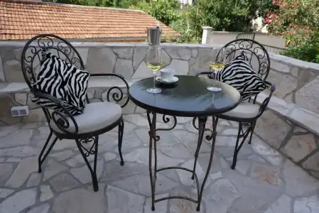 Zebra - 19