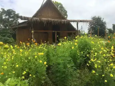 Baan 2 Dao Farmstay - Hostel - 16