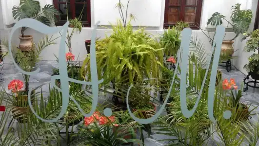 Maestre - 38