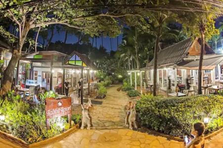 Rabbit Resort - 29