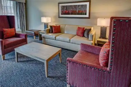Black Fox Lodge Pigeon Forge, Tapestry Collection by Hilton - 15