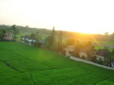 The Evitel Resort Ubud - 35