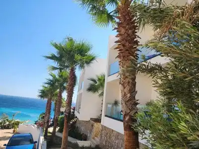 Summer Dream - 4