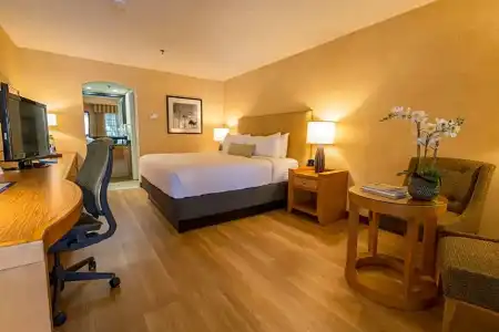 Best Western Plus Las Brisas - 26