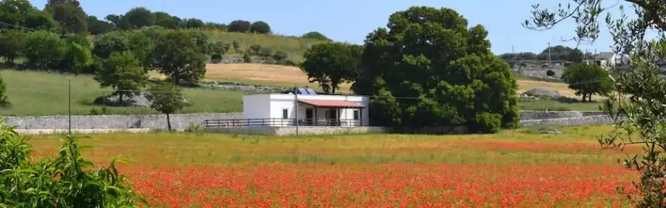 Masseria Torricella - 42