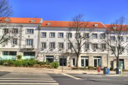 Jerónimos 8 - 31