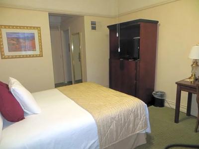 Funky Pool Side Cabana in Dtphx - 38